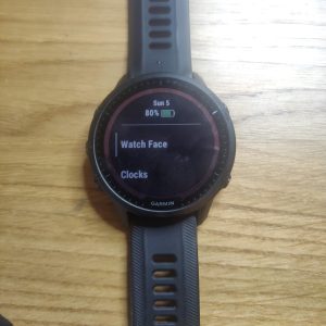 Garmin Alarm 2