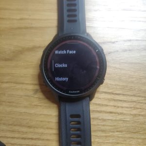 Garmin Alarm 3