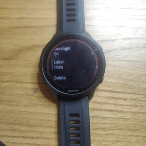 Garmin Alarm 9